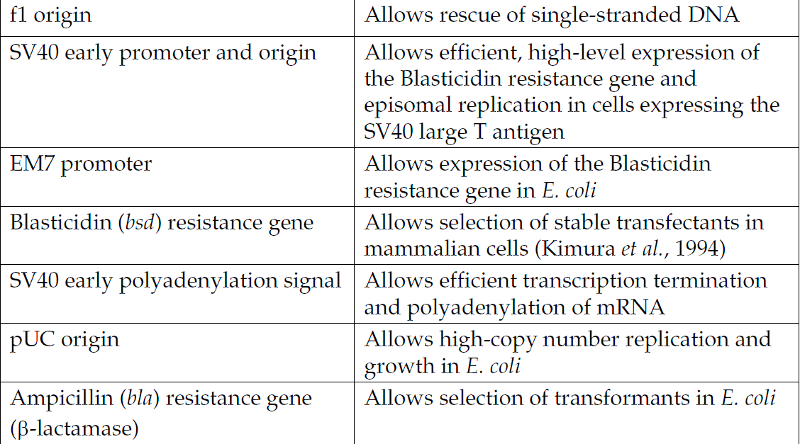 pcDNA6.2-N-YFP-DEST 载体特征2